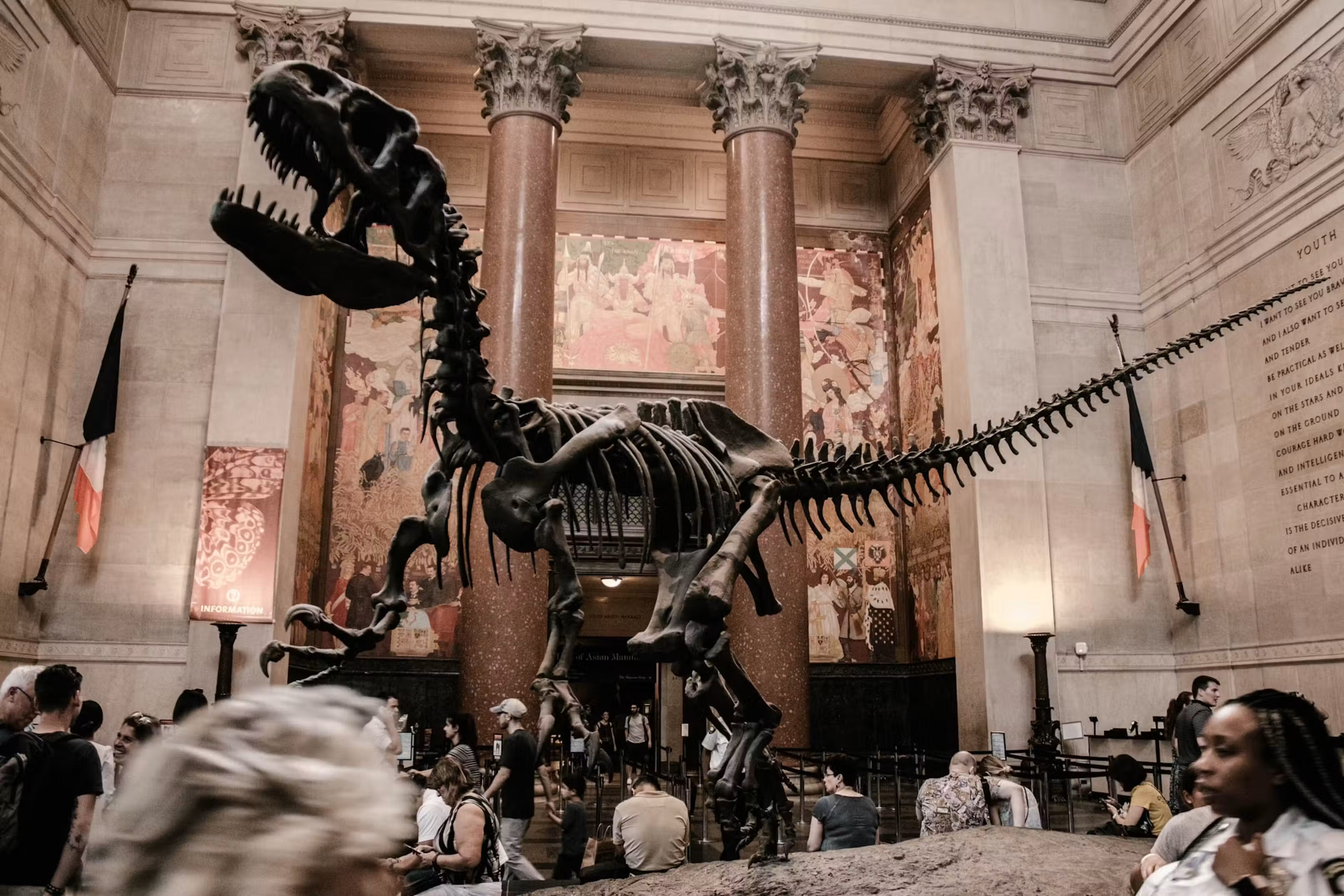 Museum of Natural History + Edge NYC Ticket Bundle