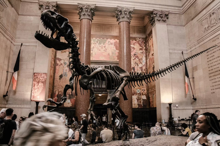 Museum of Natural History + Edge NYC Ticket Bundle